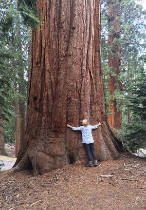 Foto: Gabriele Hornig - Arthur Andersen